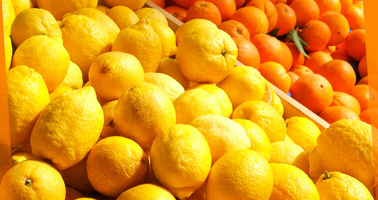 Best Citrus Fruits in Pakistan