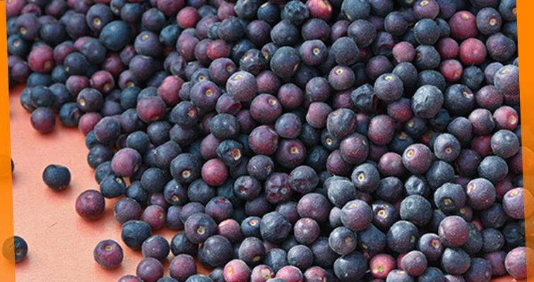 The Falsa Galore