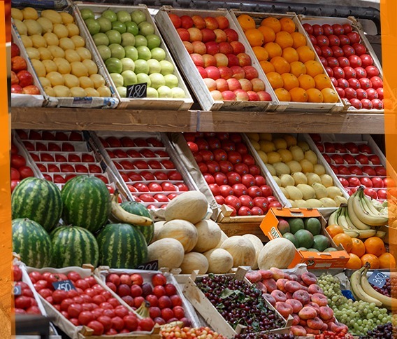 Fresh picks of Summer